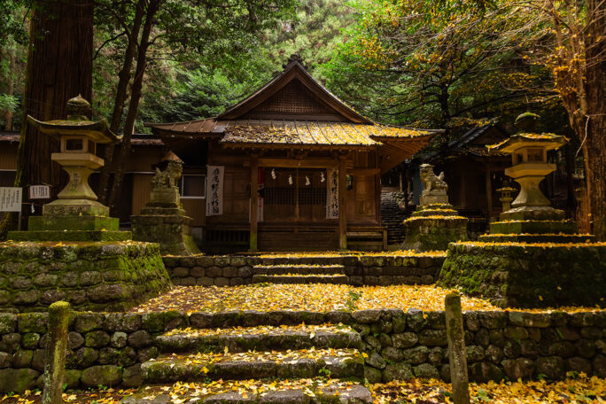 天白神社に隣接した馬背神社は黄葉に覆われていた