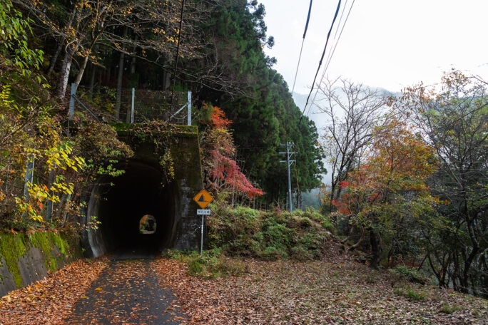 鉄道隧道の面影が色濃い栃ヶ岳隧道