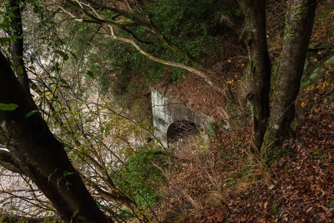 見下ろすと、飯田線旧線の第三難波隧道が坑口を覗かせていた