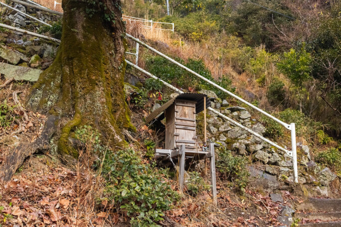 養蜂箱が据え付けられた大木の根元から集落への階段を辿る