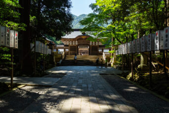 中越・彌彦神社（新潟県：2023年7月）