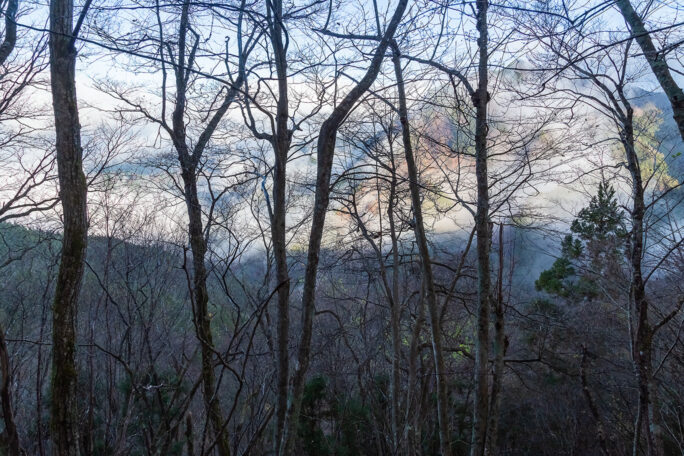 霧が晴れて樹幹越しに小沢川の対岸の山並みが見えてきた