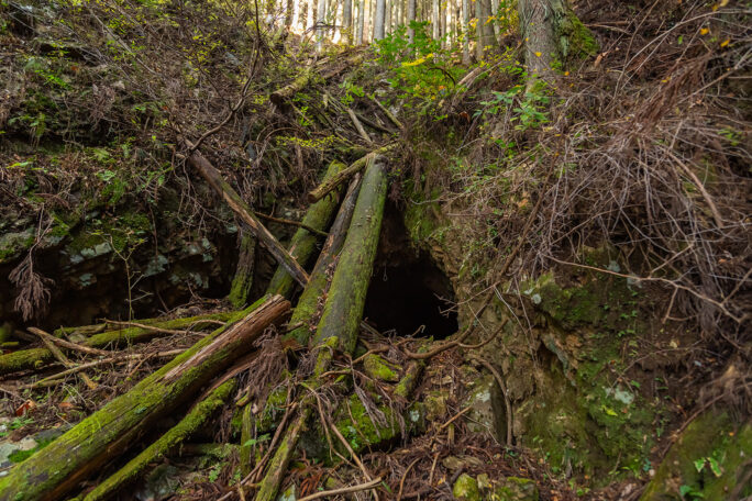 暫く周囲の山林を探索すると、山肌にぽっかりと空いた穴倉を見つけた
