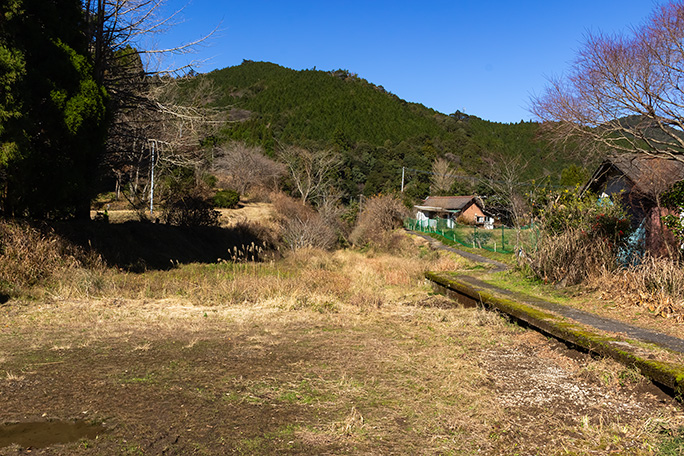 薩摩布計駅跡にはホームも残っていた