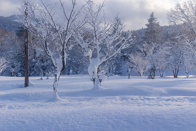 上り線ホーム側も深い雪に埋もれている