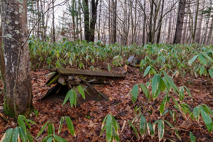 地図と現地地形を照らし合わせながら笹薮を掻き分けて見つけた塩狩神社跡