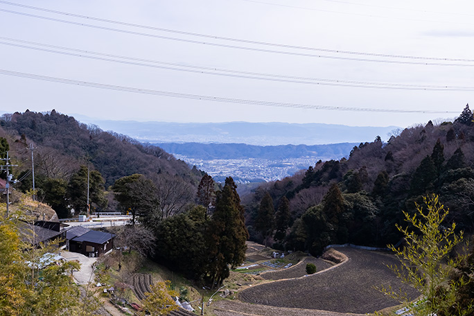 国道308号線を跨ぐ信貴生駒スカイラインから奈良盆地を遠望