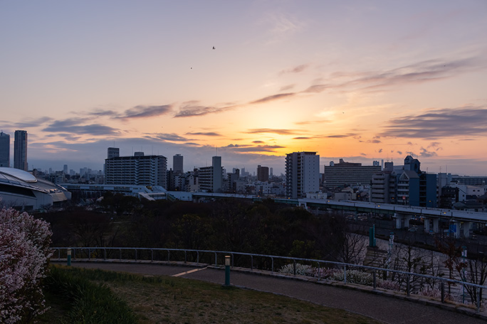 八幡屋公園の夜が明ける