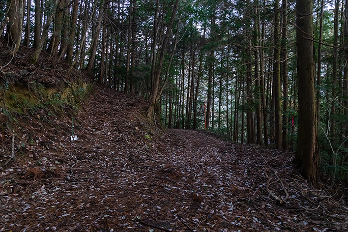 林道は歩かずに直ぐに山腹に取り付く脇道に入る