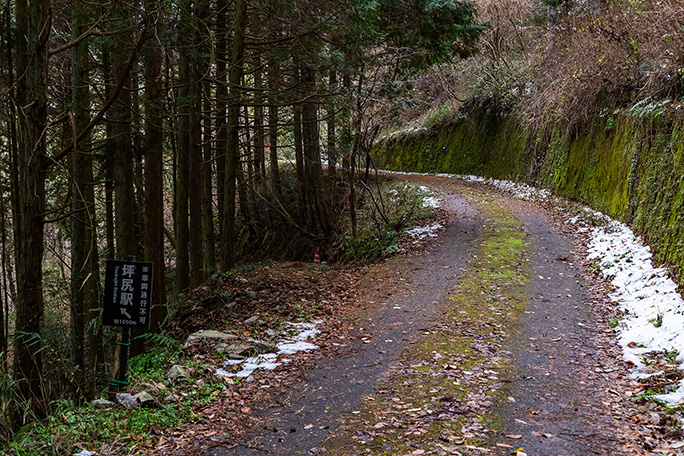 林道側から見ると込野道への分岐標識が掲げられていた