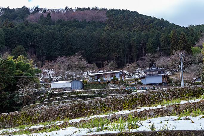 込野集落も山腹を開き石垣で築かれた僅かな平地の上に民家が建てられている