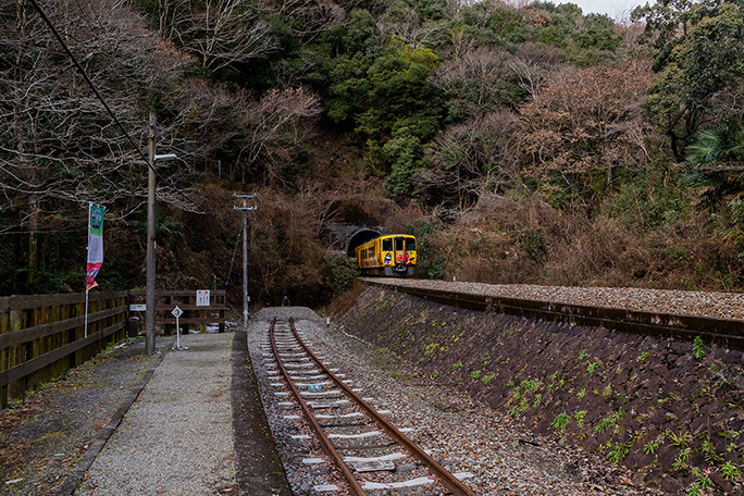 坪尻トンネルに消えていく特急「南風」を見送る