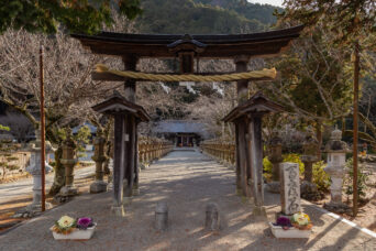 JR鍛冶屋線・鍛冶屋駅跡付近・大歳金刀比羅神社（兵庫県：2025年1月）