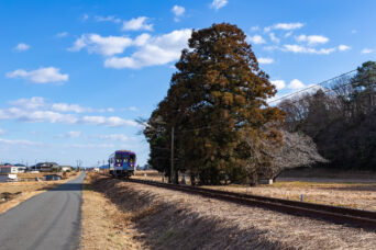 北条鉄道北条線・長～播磨下里間・大歳神社（兵庫県：2025年1月）