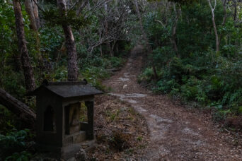 淡路島・沼島・おのころ山付近（兵庫県：2025年1月）