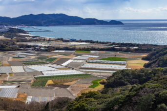 淡路島・大見山付近から望む阿万平野と阿万、吹上海岸（兵庫県：2025年1月）