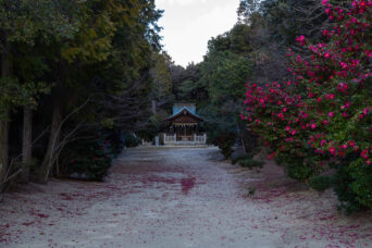 淡路島・大和大圀魂神社（兵庫県：2025年1月）