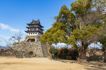 淡路島・洲本城（兵庫県：2025年1月）