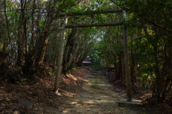 淡路島・北淡・ヒヤリ峠・伊勢ノ森神社（兵庫県：2025年1月）