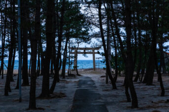 淡路島・西淡・慶野松原・慶野事代主神社参道 （兵庫県：2025年1月）