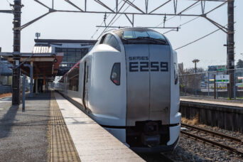 JR総武本線・八街駅・特急「しおさい」(千葉県:2025年3月)