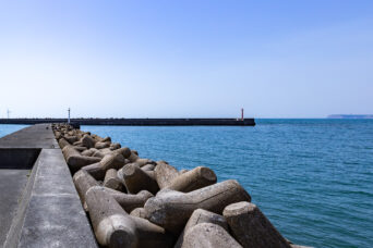 銚子・名洗港海浜公園(千葉県:2025年3月)
