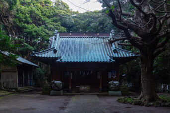 銚子・渡海神社(千葉県:2025年3月)