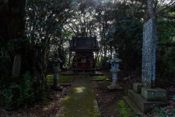 銚子・小浜集落・八幡大神(千葉県:2025年3月)