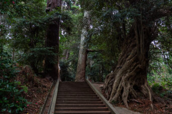 JR東金線・東金駅・日吉神社(千葉県:2025年3月)
