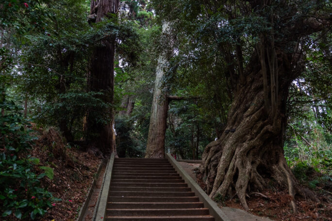 JR東金線・東金駅・日吉神社(千葉県:2025年3月)
