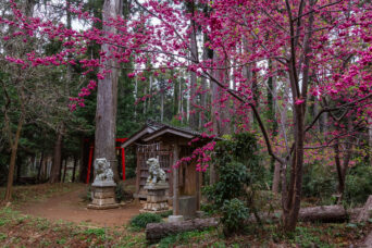 JR東金線・東金駅・日吉神社・大谷八幡神社(千葉県:2025年3月)