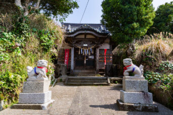 夷隅・大原・小浜八幡神社(千葉県:2025年3月)