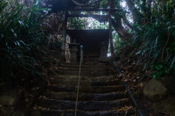 鵜原・鵜原理想郷・大杉神社(千葉県:2025年3月)