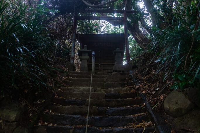 鵜原・鵜原理想郷・大杉神社(千葉県:2025年3月)