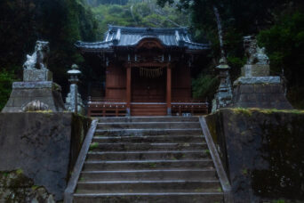 勝浦・大沢・八幡神社(千葉県:2025年3月)