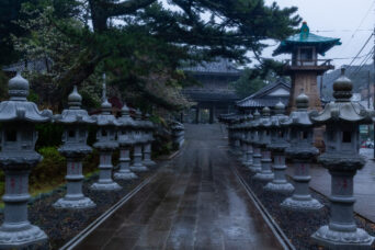 小湊・誕生寺(千葉県:2025年3月)