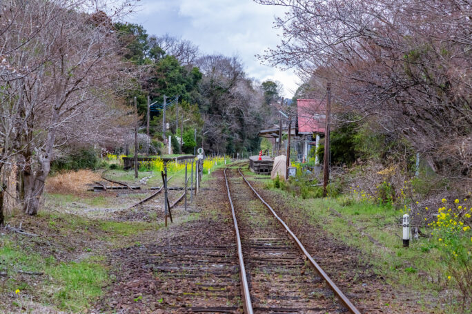 小湊鉄道・養老渓谷駅(千葉県:2025年3月)