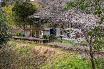 小湊鉄道・上総大久保駅(千葉県:2025年3月)