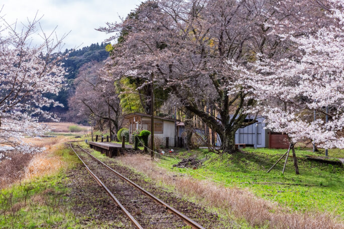 小湊鉄道・上総大久保駅(千葉県:2025年3月)