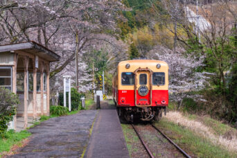 小湊鉄道・上総大久保駅(千葉県:2025年3月)