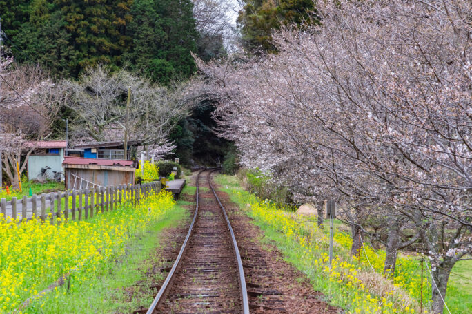 小湊鉄道・飯給駅(千葉県:2025年3月)