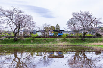 小湊鉄道・飯給駅(千葉県:2025年3月)