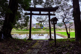 小湊鉄道・飯給駅・白山神社(千葉県:2025年3月)