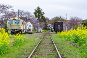 小湊鉄道・里見駅(千葉県:2025年3月)