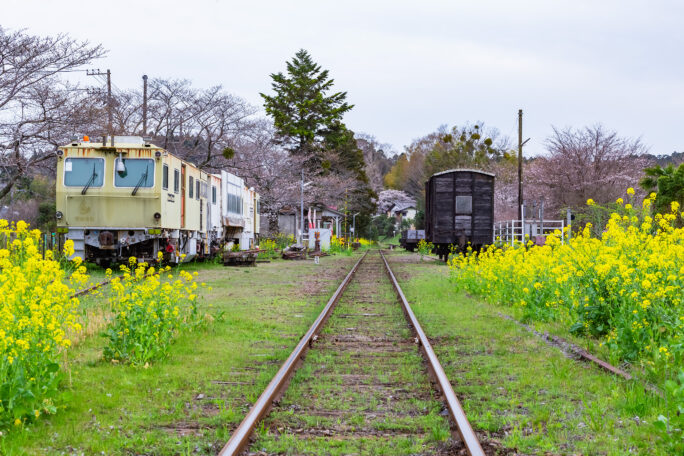 小湊鉄道・里見駅(千葉県:2025年3月)