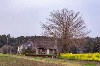 小湊鉄道・上総久保駅(千葉県:2025年3月)