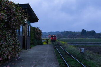 小湊鉄道・上総川間駅(千葉県:2025年3月)