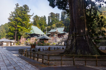 鴨川・清澄山・清澄寺(千葉県:2025年3月)