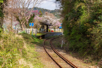 いすみ鉄道・西畑駅(千葉県:2025年3月)