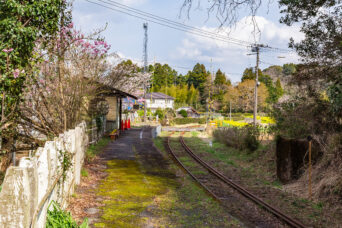 いすみ鉄道・西畑駅(千葉県:2025年3月)